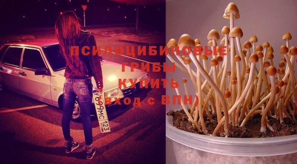 MDMA Зеленокумск