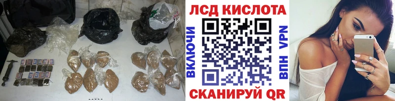 ЛСД экстази ecstasy  как найти   Каргополь 
