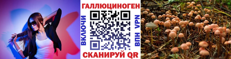 Галлюциногенные грибы MAGIC MUSHROOMS Каргополь